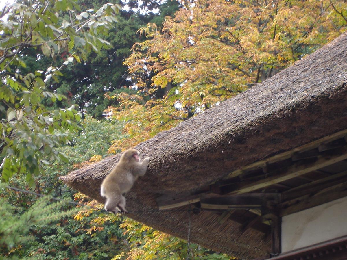 Hotel Nishiya Yonezawa Zewnętrze zdjęcie