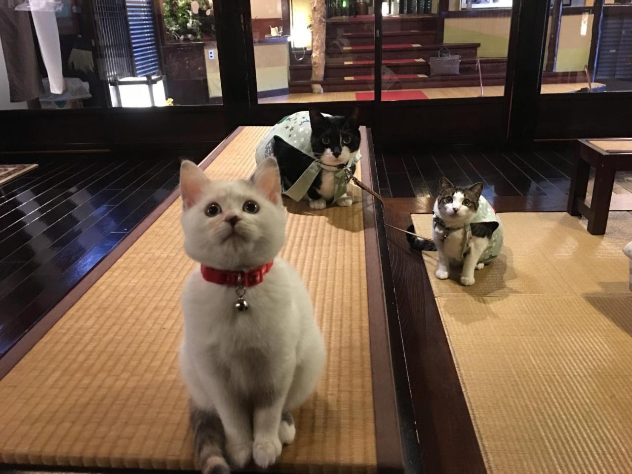 Hotel Nishiya Yonezawa Zewnętrze zdjęcie